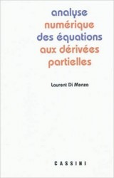 Analyse numérique des équations aux dérivées partielles